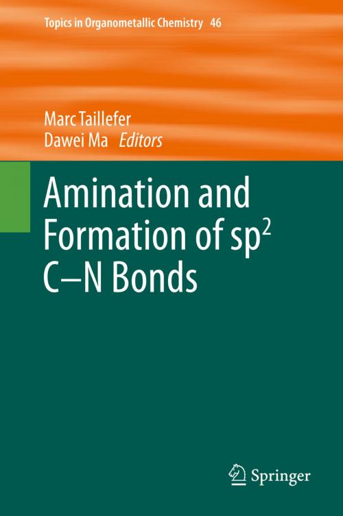 Cover of the book Amination and Formation of sp2 C-N Bonds by , Springer Berlin Heidelberg