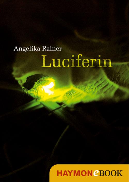 Cover of the book Luciferin by Angelika Rainer, Haymon Verlag