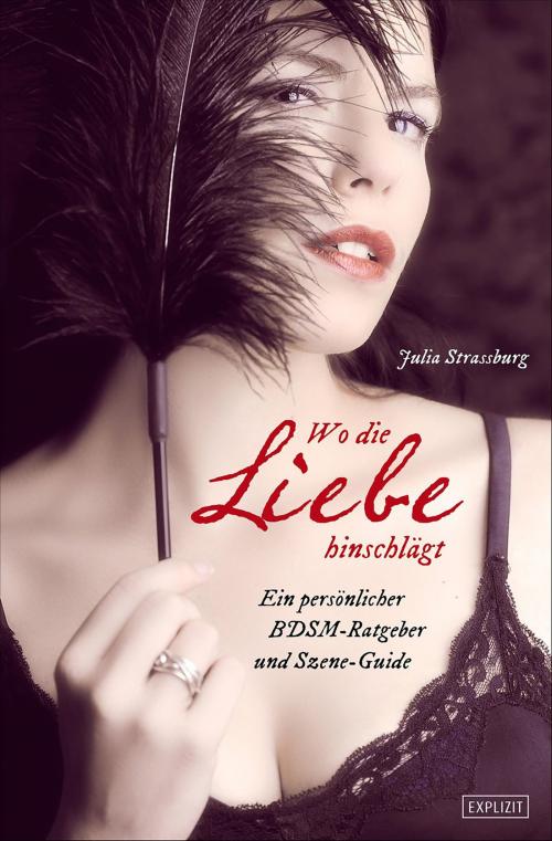 Cover of the book Wo die Liebe hinschlägt ... by Julia Strassburg, Schwarzkopf & Schwarzkopf
