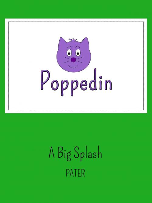 Cover of the book A Big Splash by PATER, PATER