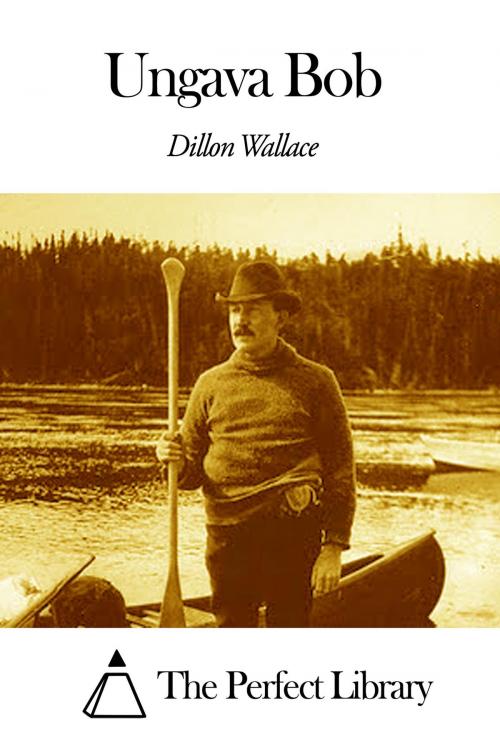Cover of the book Ungava Bob by Dillon Wallace, The Perfect Library