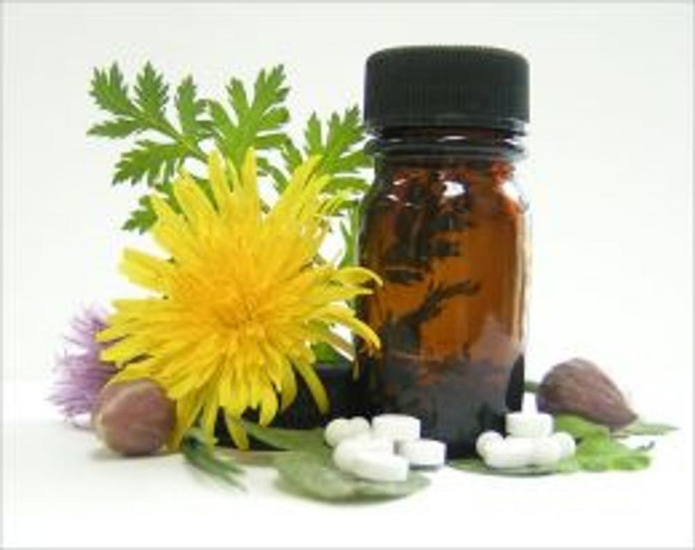 Big bigCover of A Beginners Guide to Homeopathy