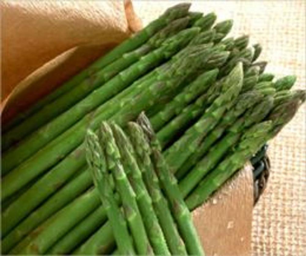 Big bigCover of A Crash Course on How to Grow Asparagus