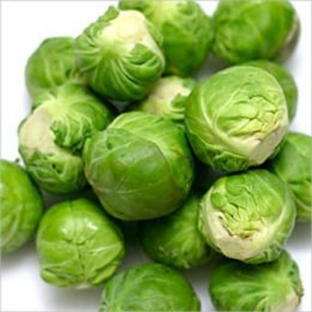 Big bigCover of A Crash Course on How to Grow Brussels Sprouts