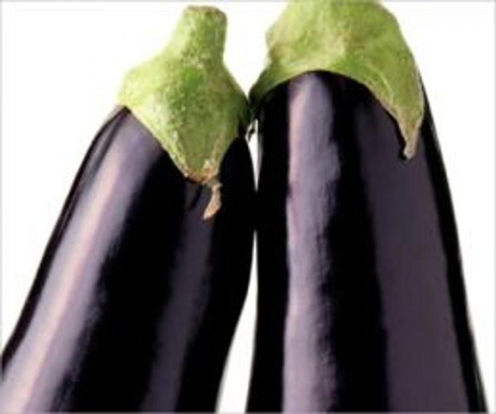 Big bigCover of A Crash Course on How to Grow Eggplants