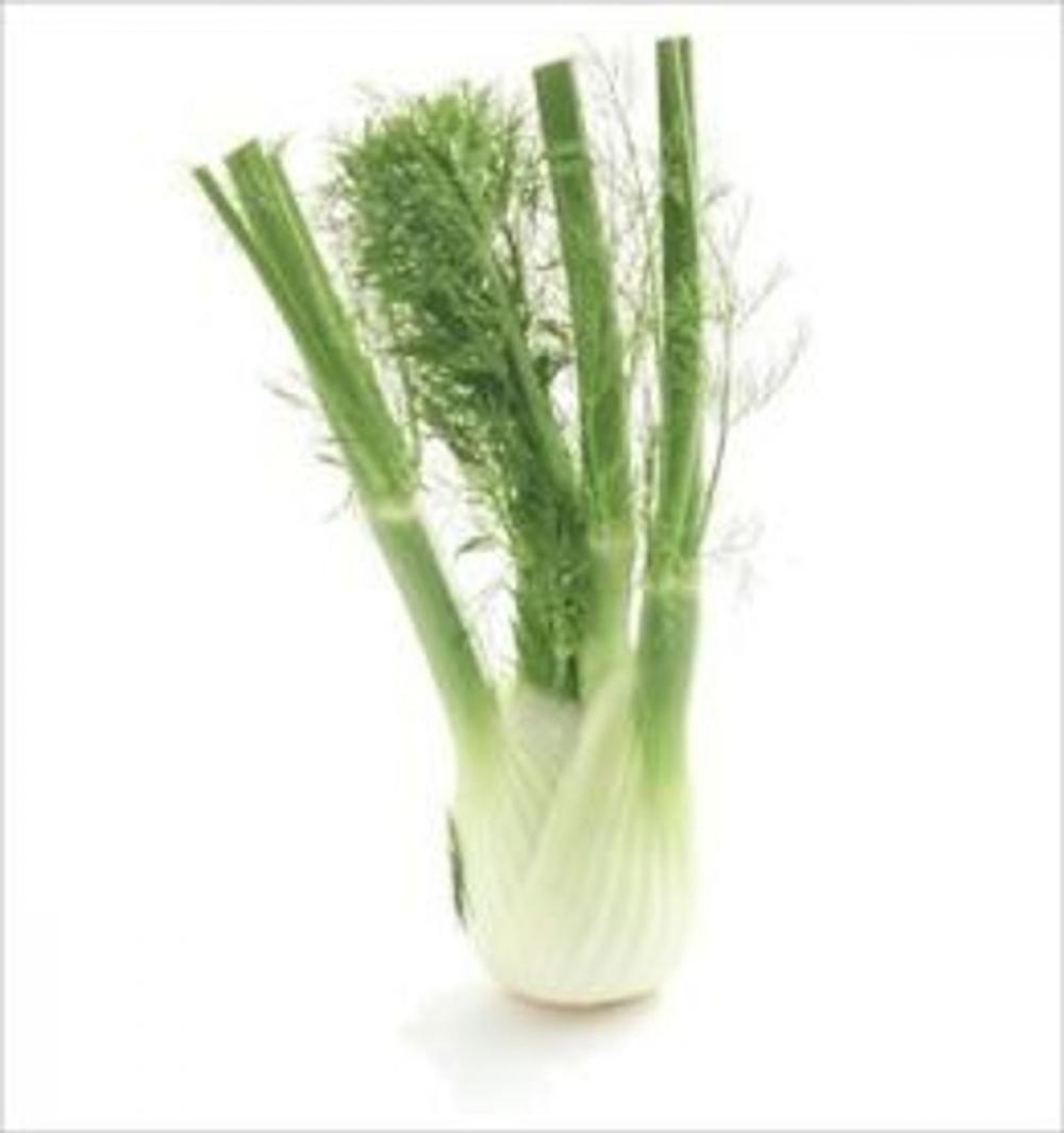 Big bigCover of A Crash Course on How to Grow Fennel