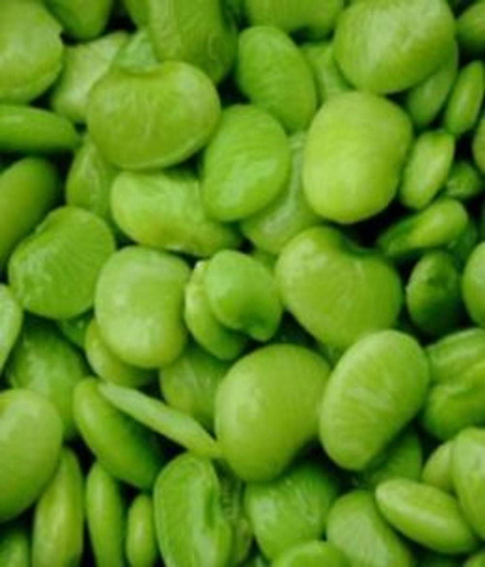 Big bigCover of A Crash Course on How to Grow Lima Beans