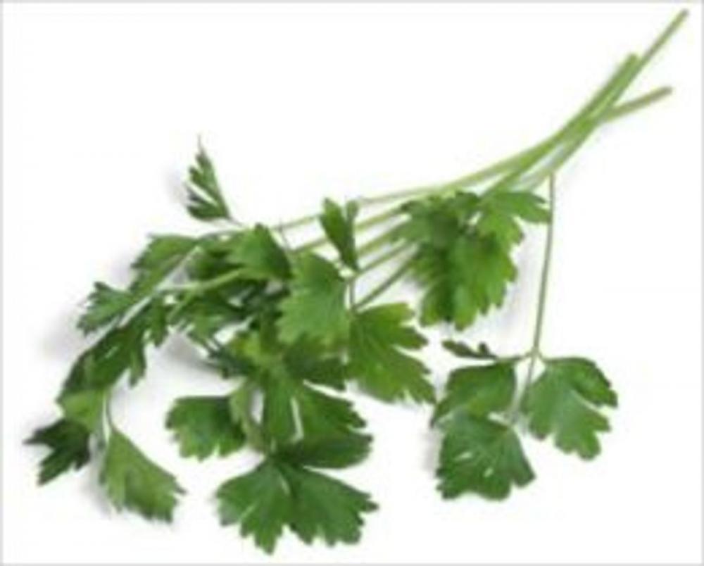 Big bigCover of A Crash Course on How to Grow Parsley