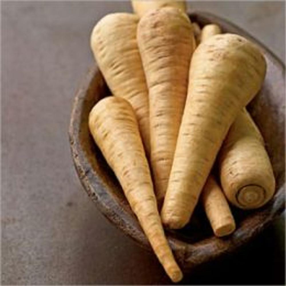 Big bigCover of A Crash Course on How to Grow Parsnips