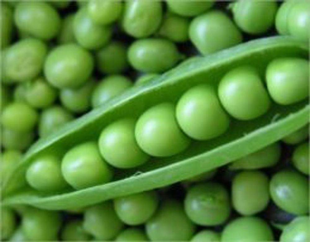 Big bigCover of A Crash Course on How to Grow Peas