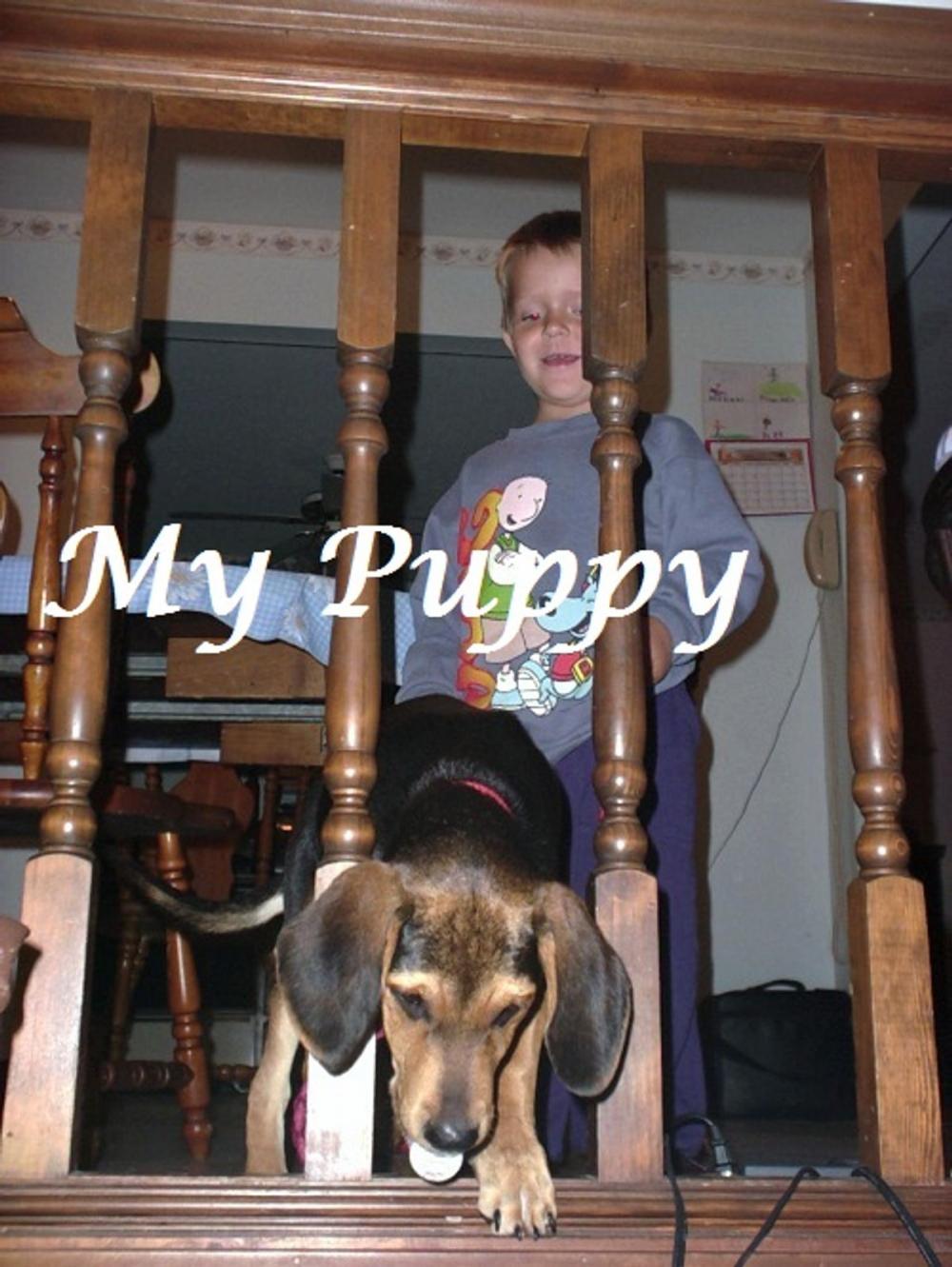 Big bigCover of My Puppy (childrens picture book)