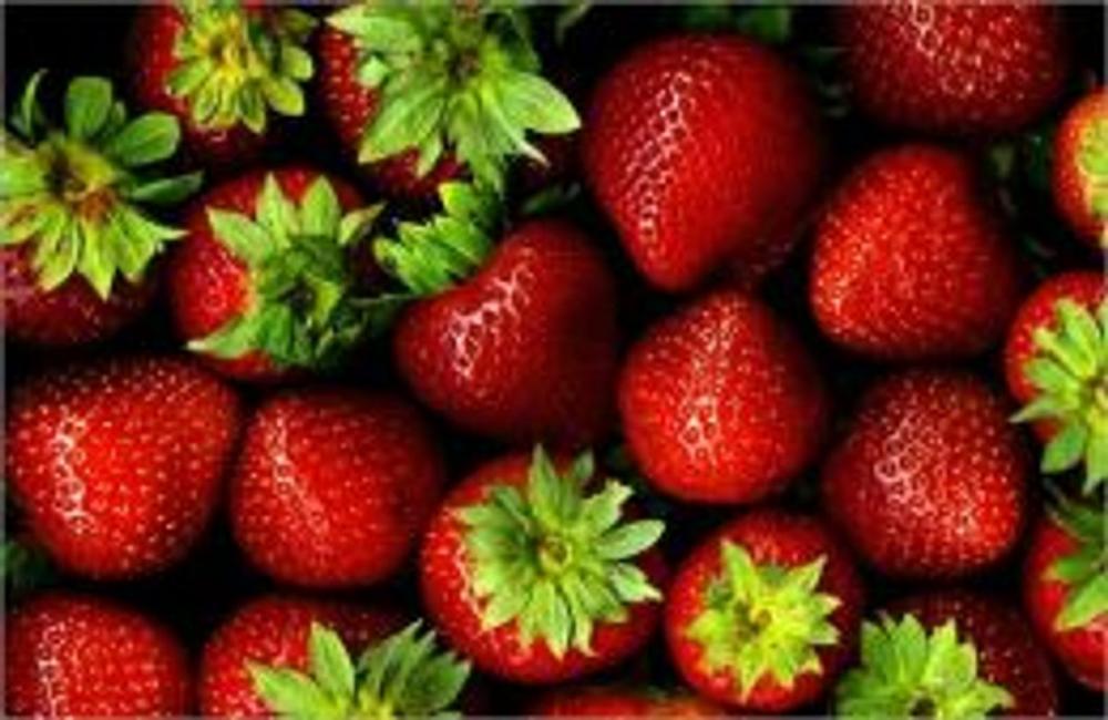 Big bigCover of A Crash Course on How to Grow Strawberries