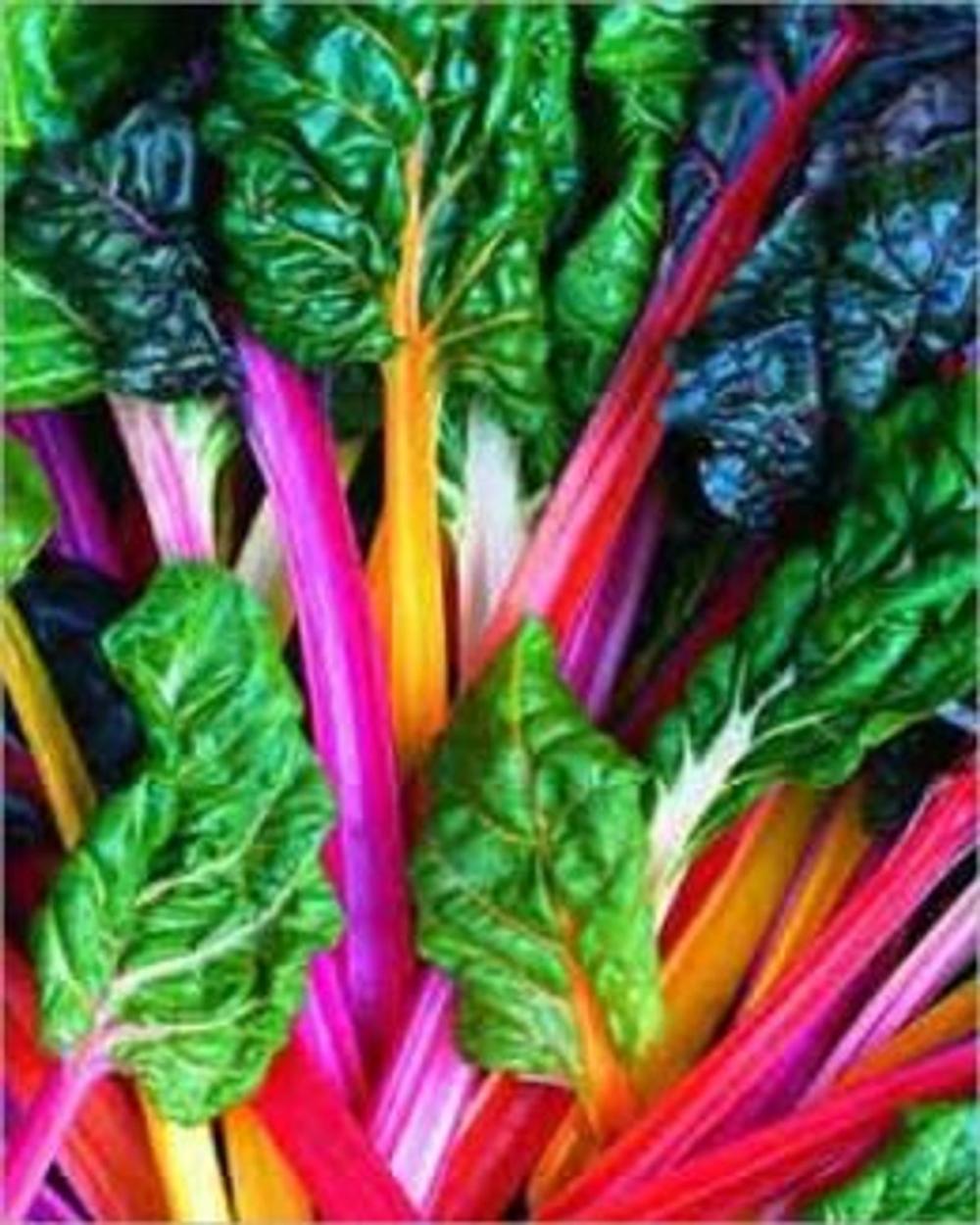 Big bigCover of A Crash Course on How to Grow Swiss Chard