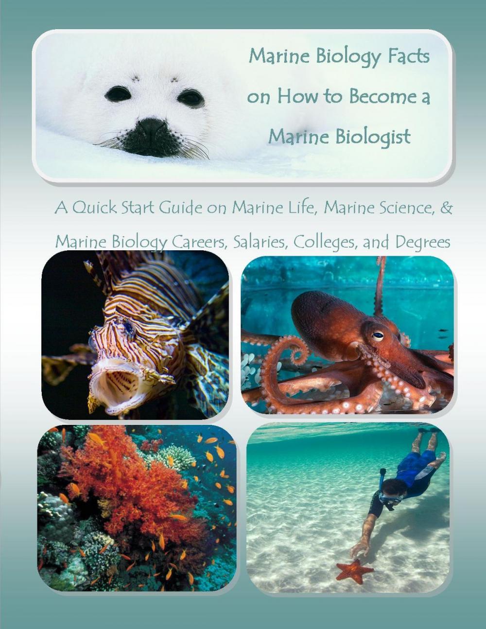 Big bigCover of Marine Biology Facts on How to Become a Marine Biologist