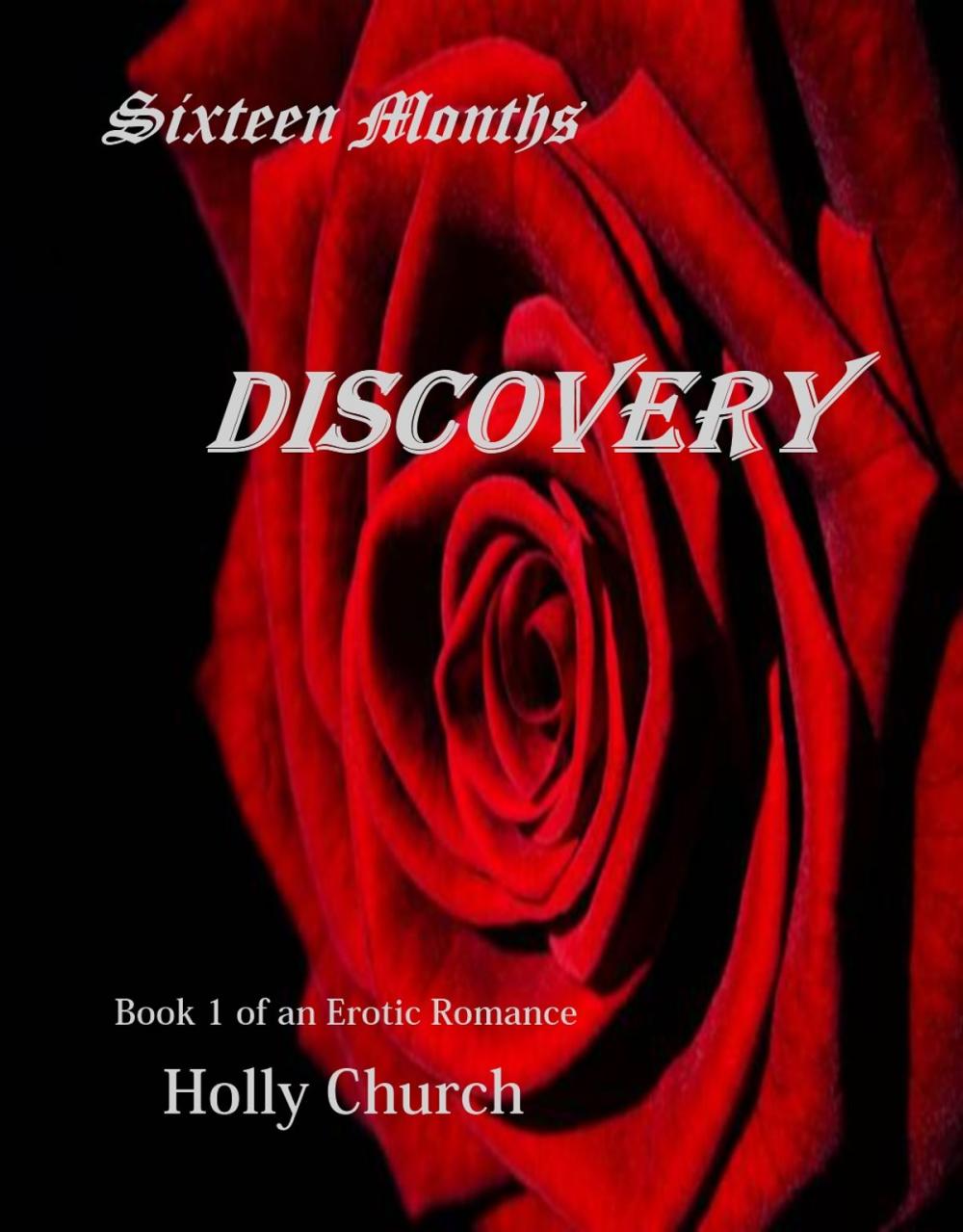 Big bigCover of Discovery