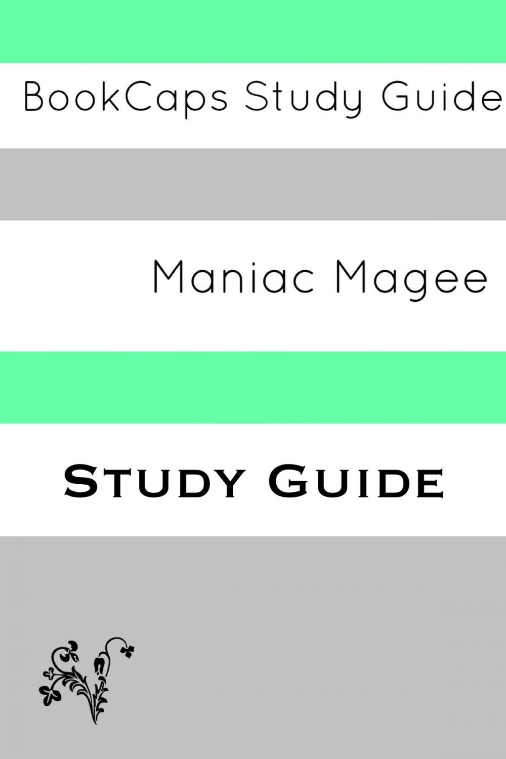 Big bigCover of Study Guide: Maniac Magee