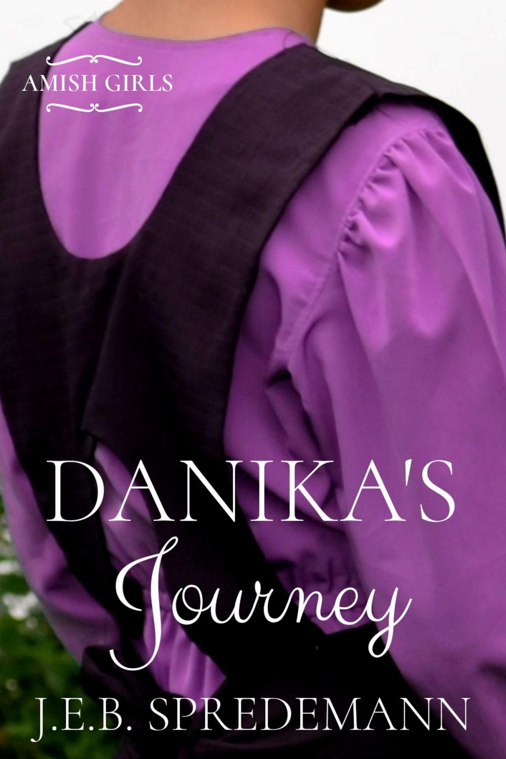 Big bigCover of Danika's Journey (Amish Girls Series - Book 2)