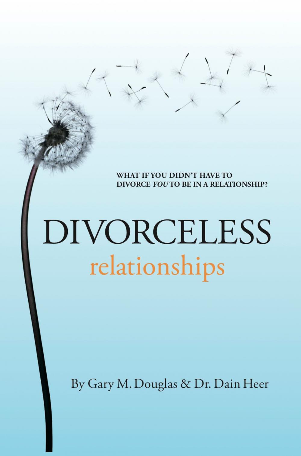 Big bigCover of Divorceless Relationships