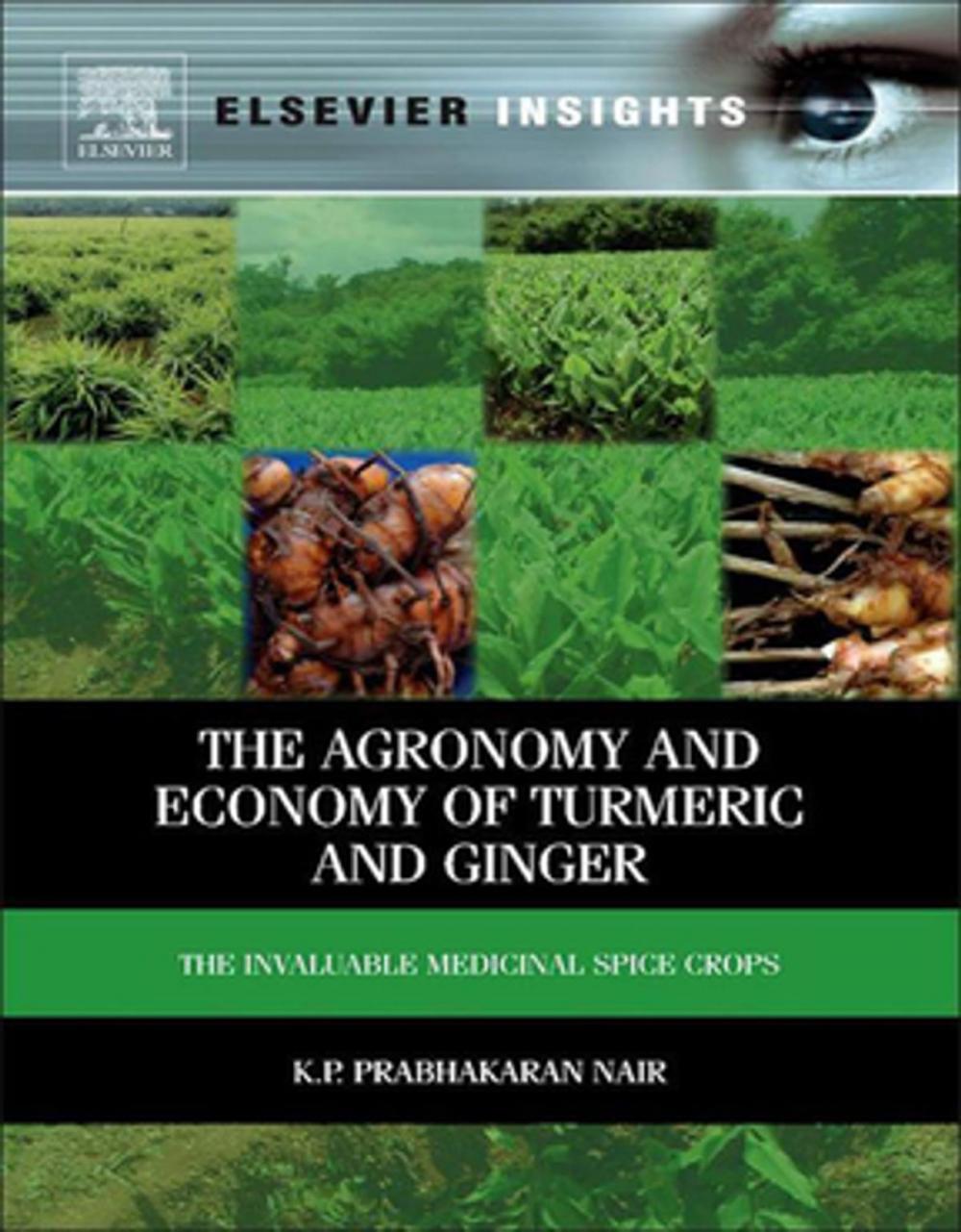 Big bigCover of The Agronomy and Economy of Turmeric and Ginger