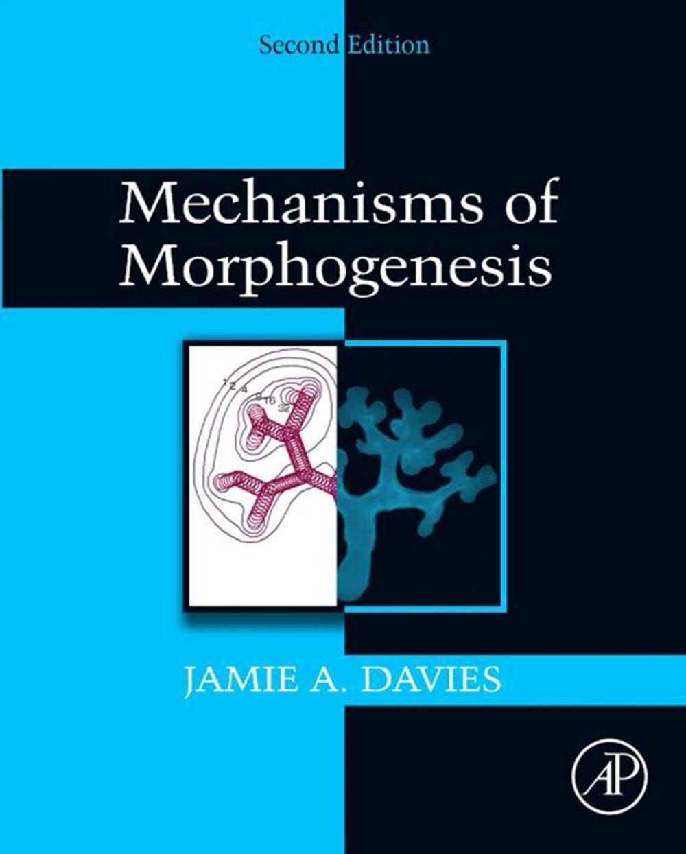 Big bigCover of Mechanisms of Morphogenesis