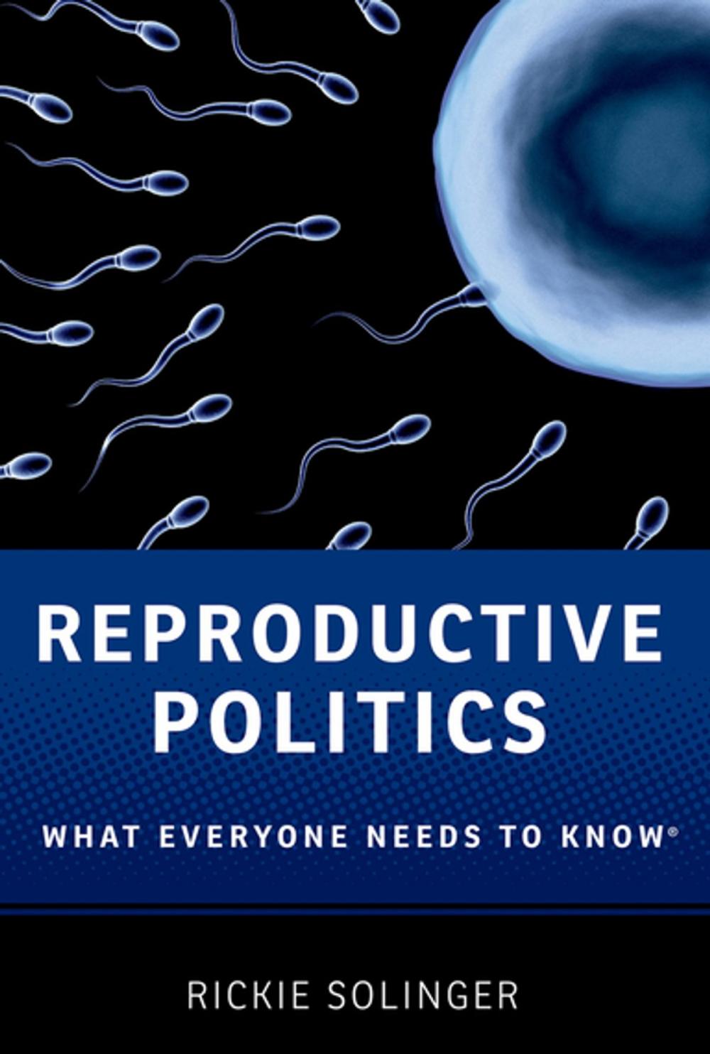 Big bigCover of Reproductive Politics