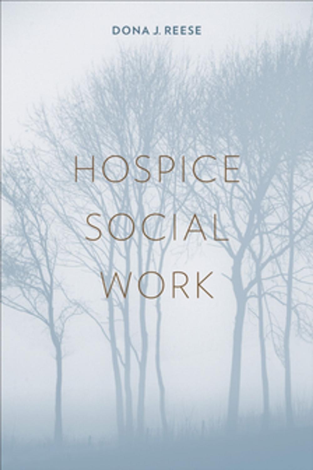 Big bigCover of Hospice Social Work