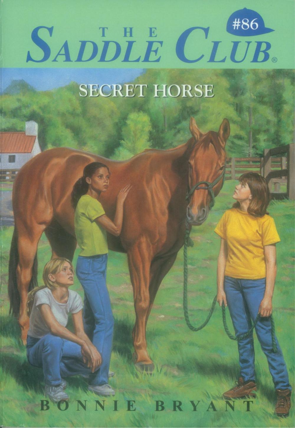 Big bigCover of Secret Horse