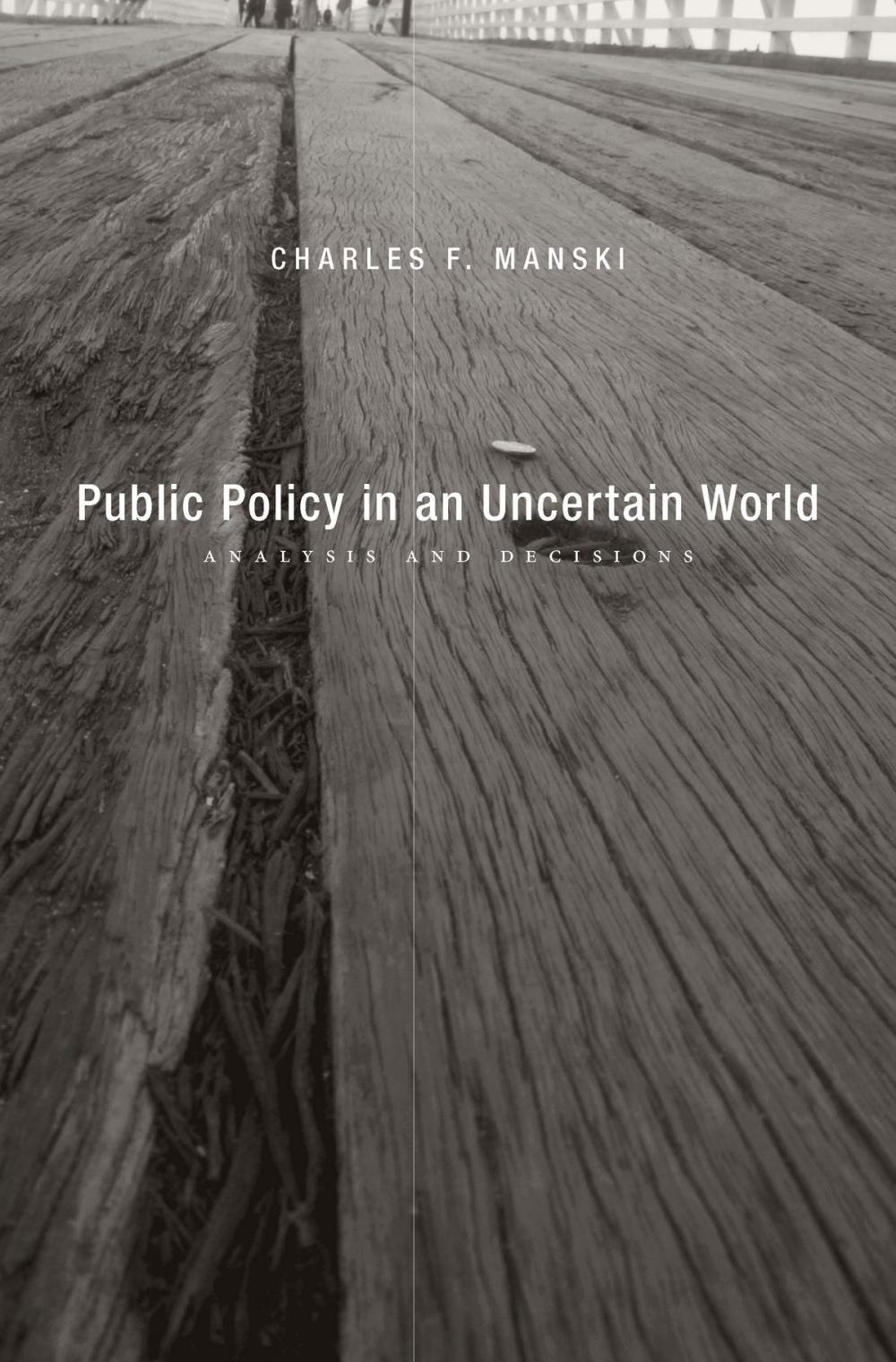 Big bigCover of Public Policy in an Uncertain World