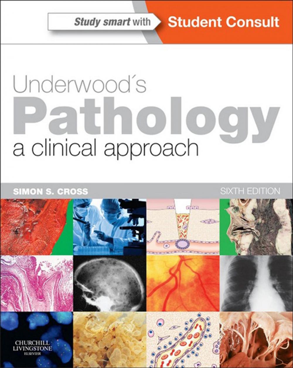 Big bigCover of Underwood's Pathology