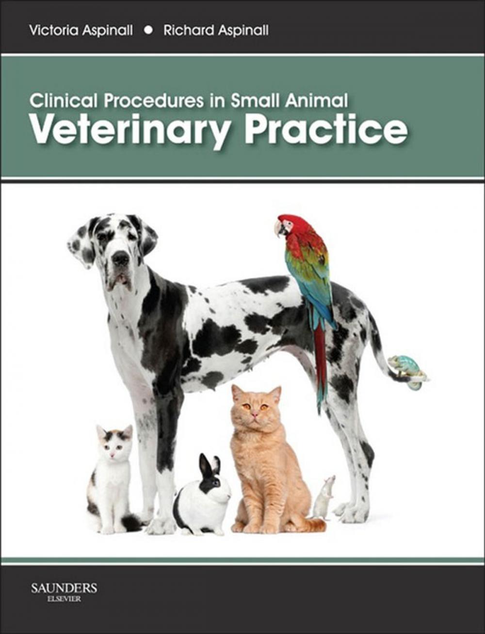 Big bigCover of Clinical Procedures in Small Animal Veterinary Practice E-Book