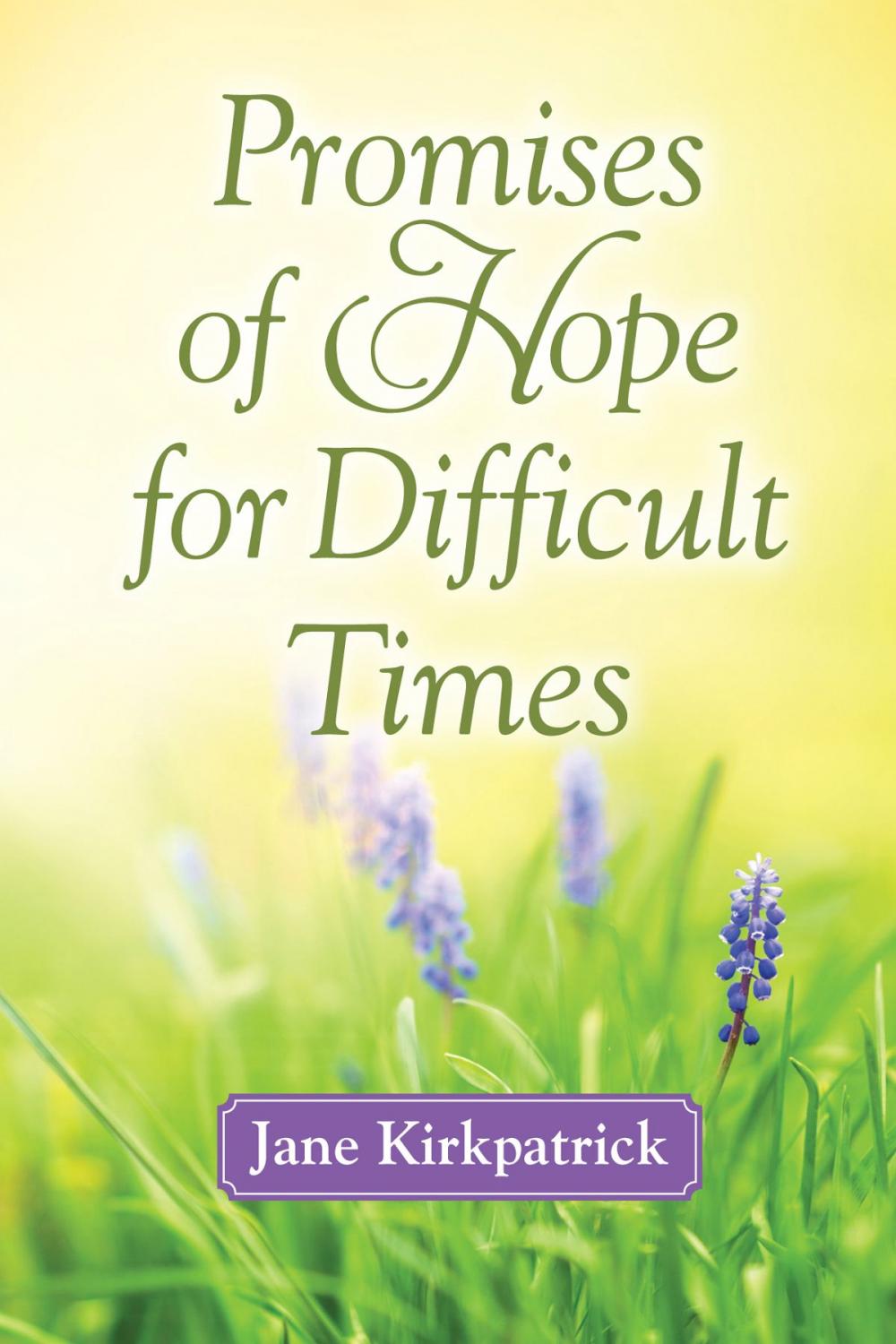 Big bigCover of Promises of Hope for Difficult Times