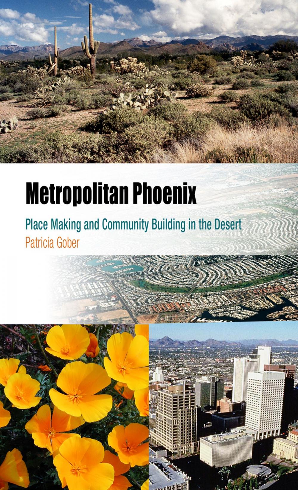 Big bigCover of Metropolitan Phoenix