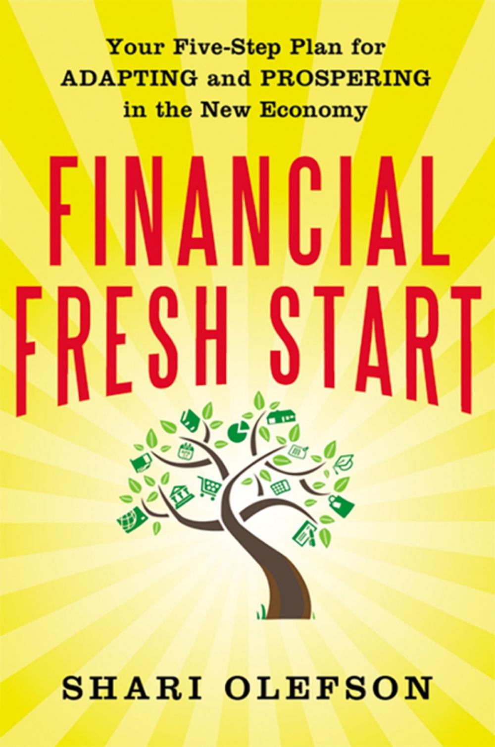 Big bigCover of Financial Fresh Start