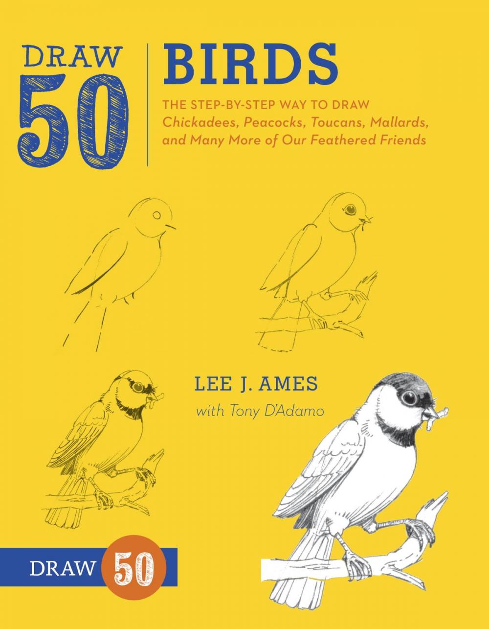 Big bigCover of Draw 50 Birds