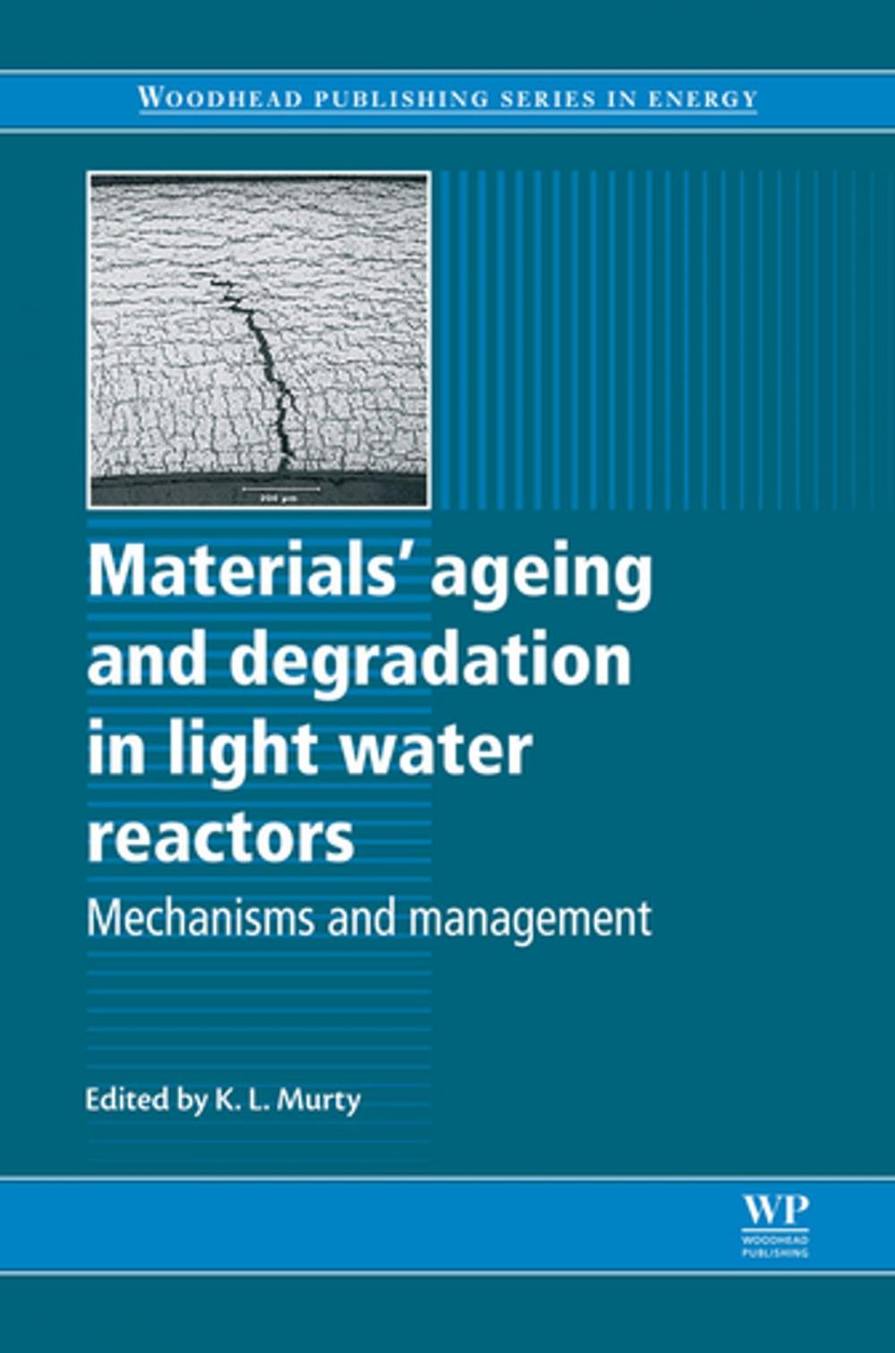 Big bigCover of Materials Ageing and Degradation in Light Water Reactors