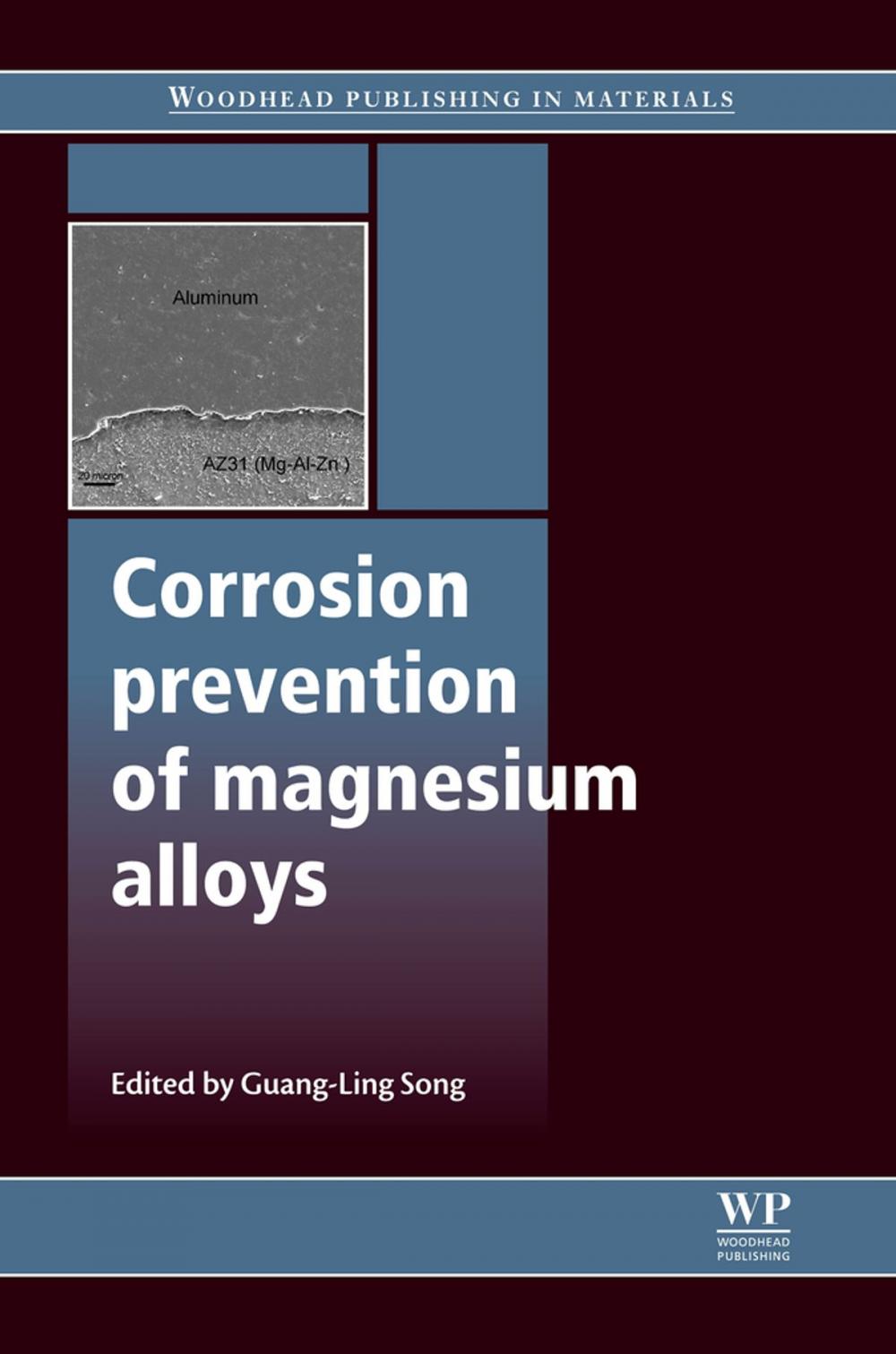 Big bigCover of Corrosion Prevention of Magnesium Alloys