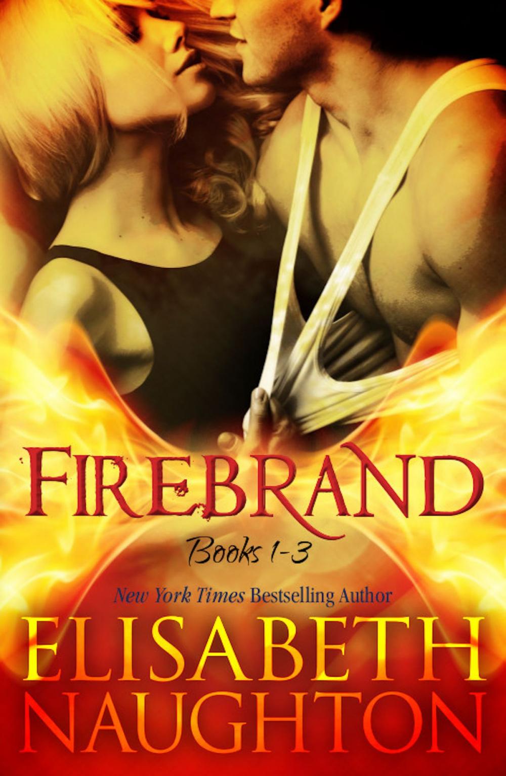 Big bigCover of Firebrand Series Box Set