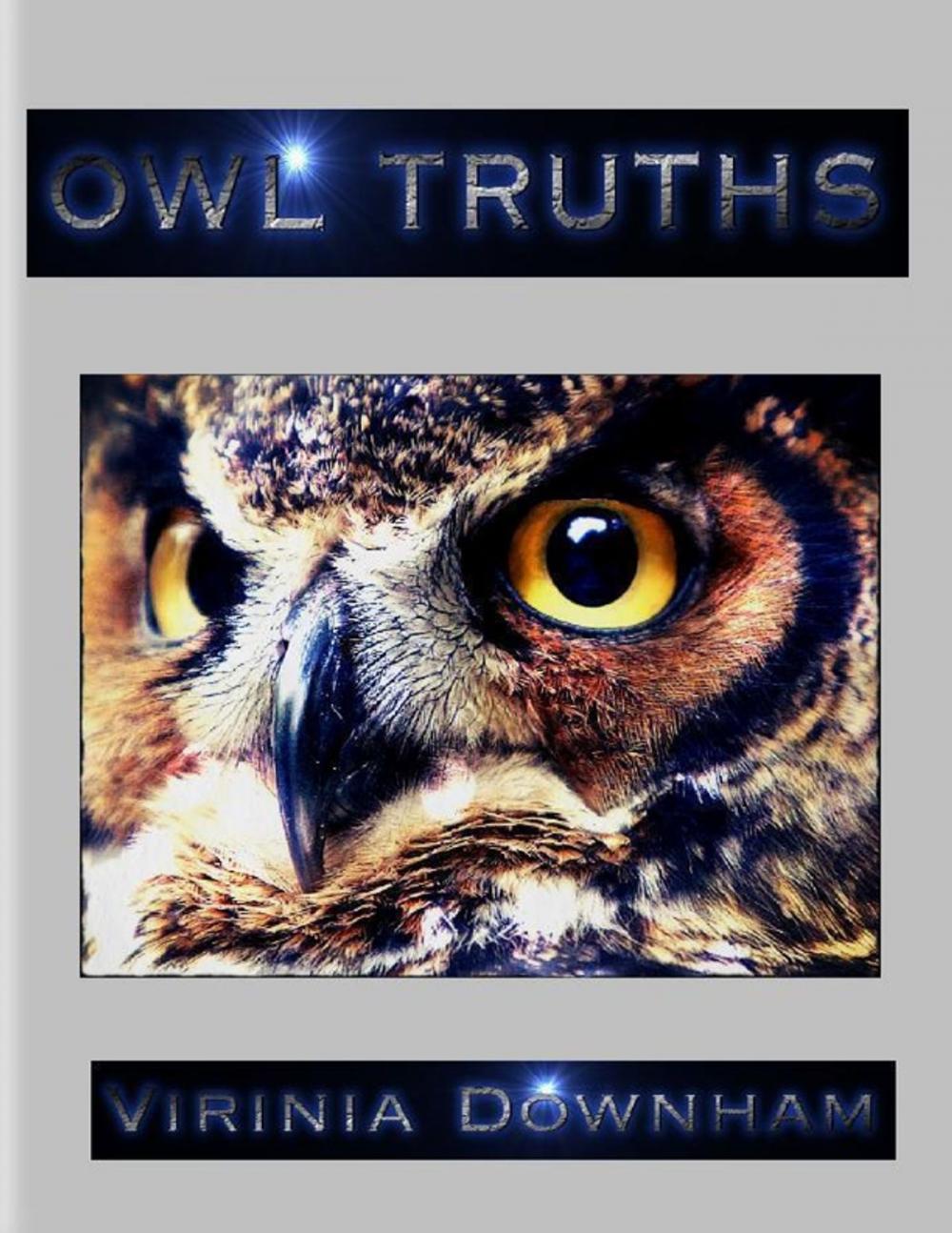 Big bigCover of Owl Truths