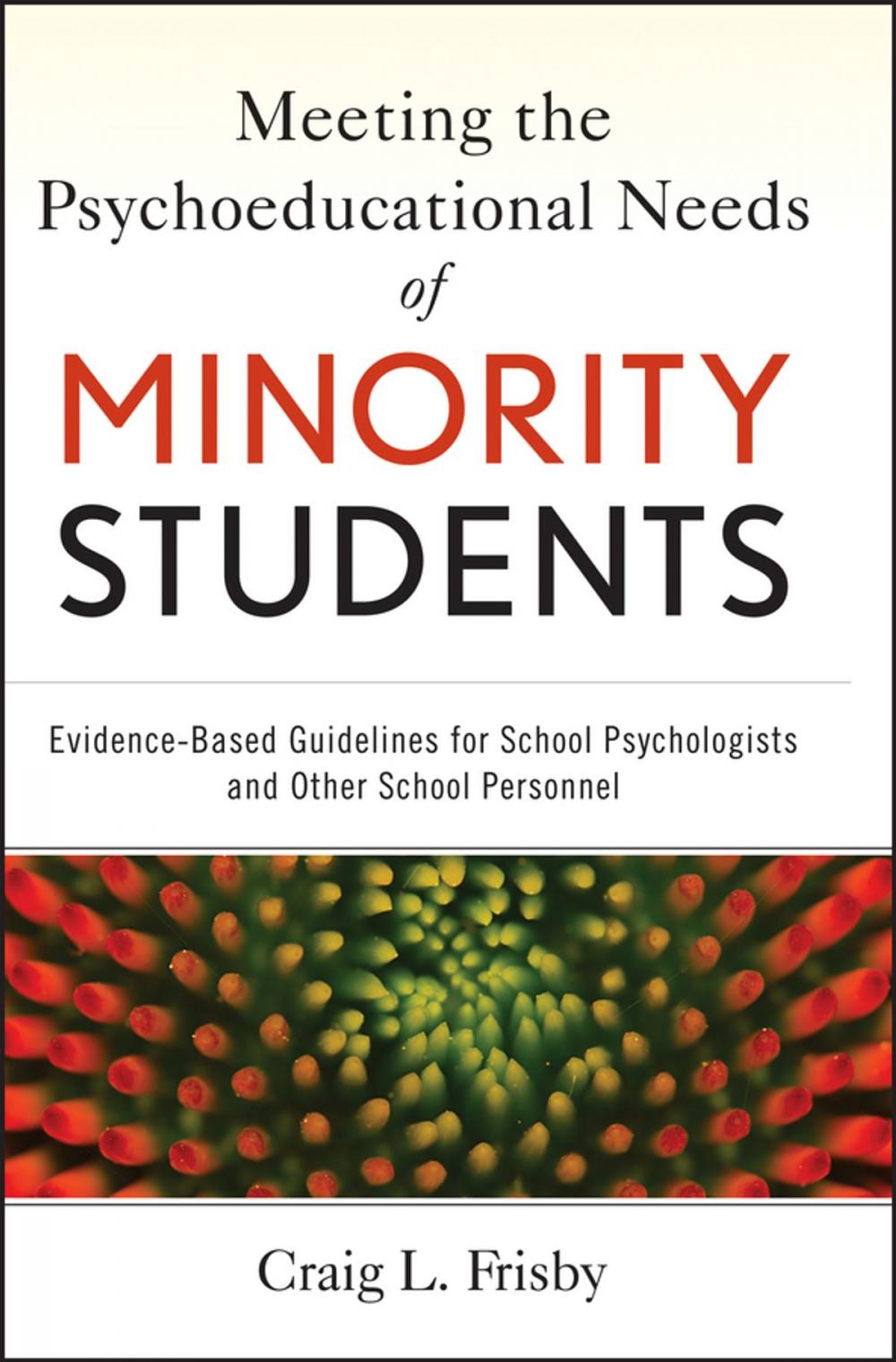 Big bigCover of Meeting the Psychoeducational Needs of Minority Students