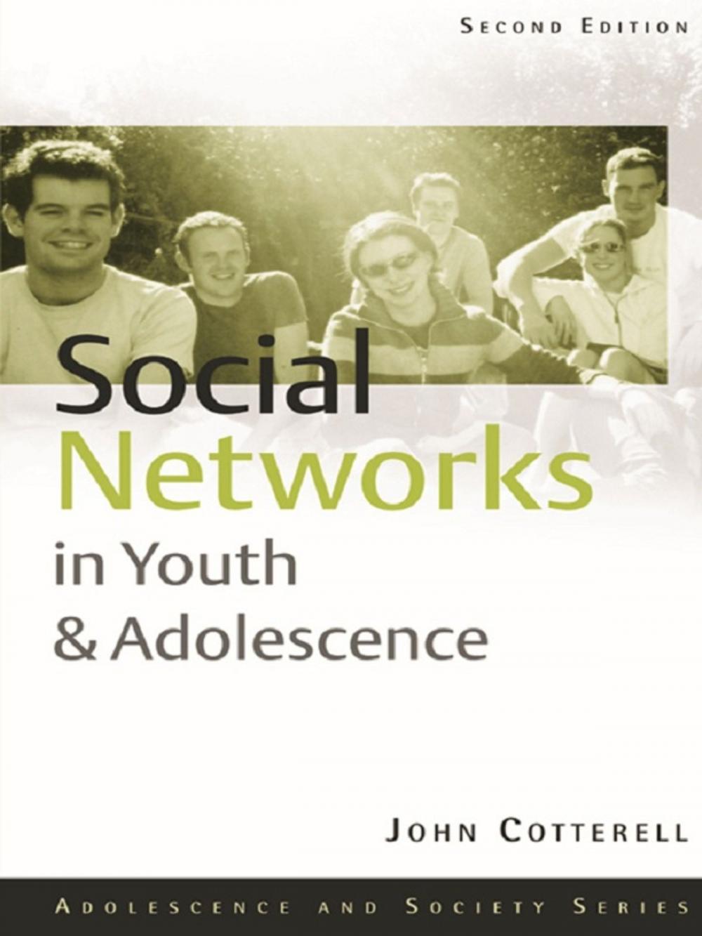 Big bigCover of Social Networks in Youth and Adolescence