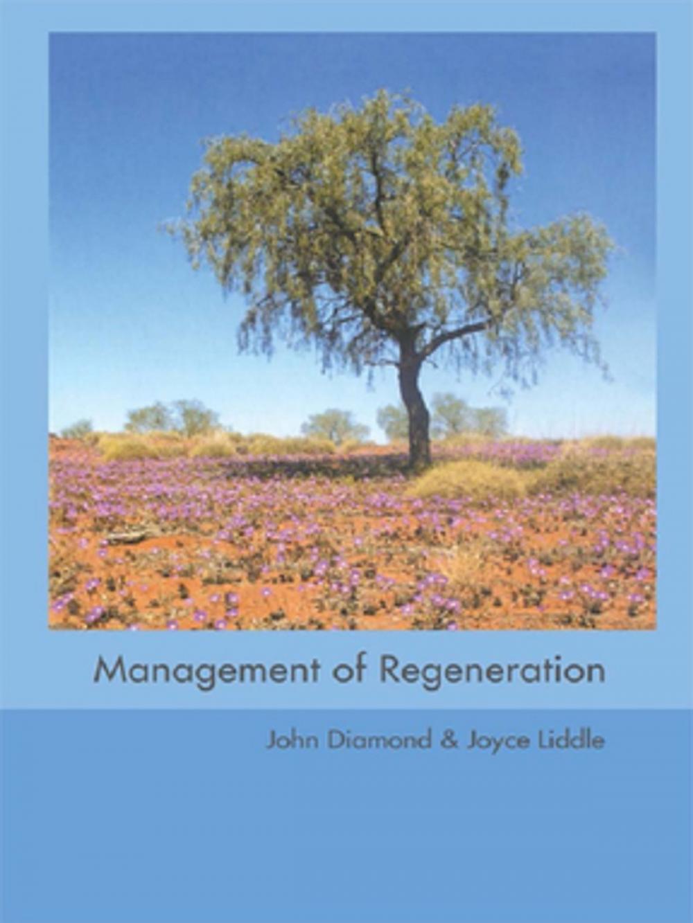 Big bigCover of Management of Regeneration