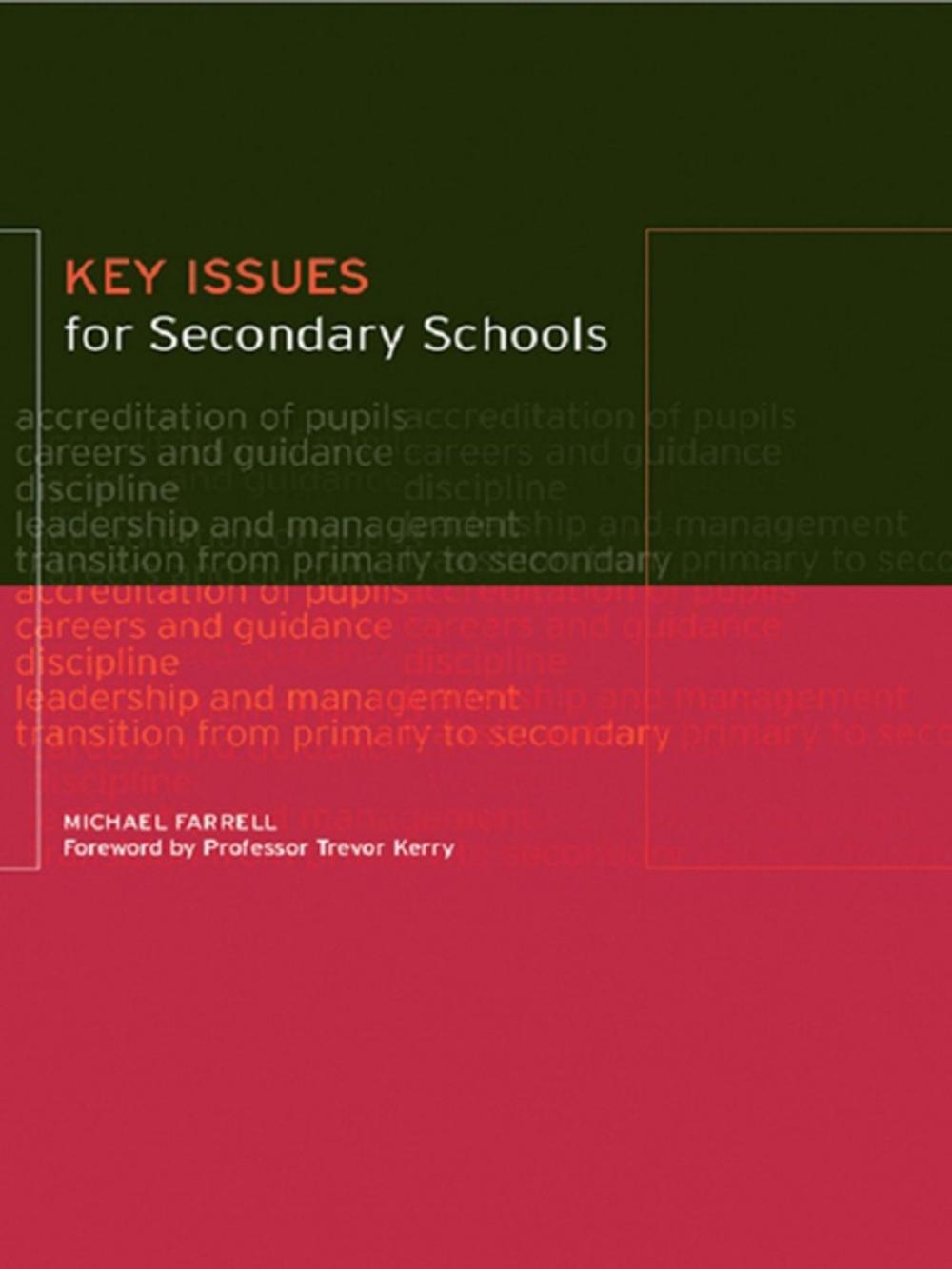 Big bigCover of Key Issues for Secondary Schools