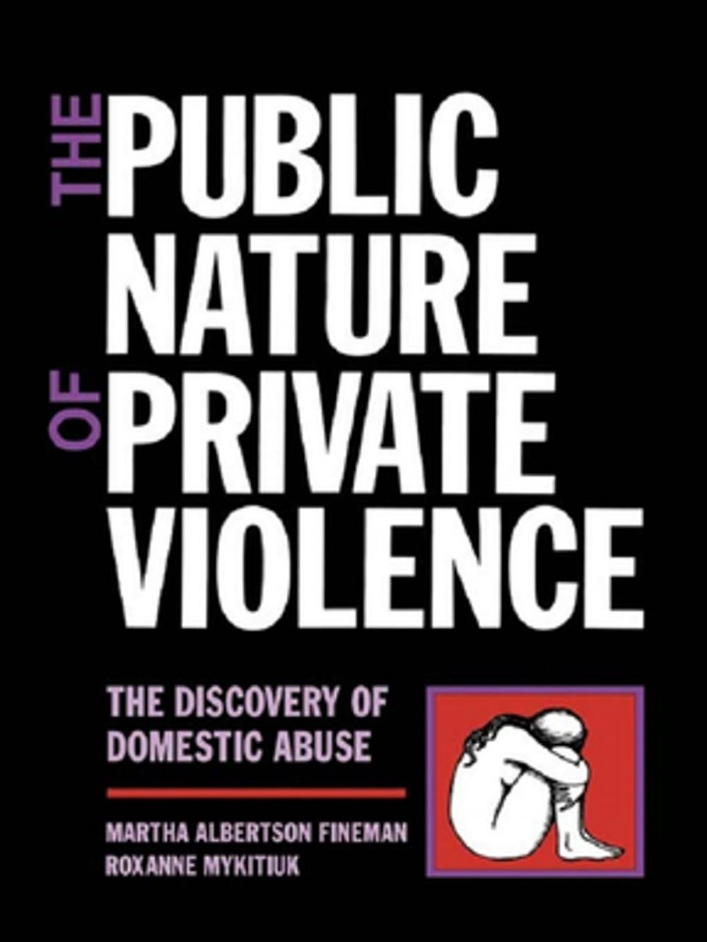 Big bigCover of The Public Nature of Private Violence