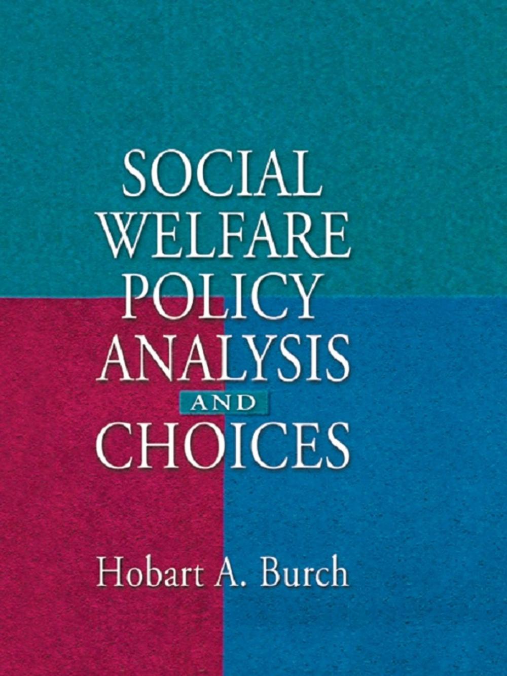 Big bigCover of Social Welfare Policy Analysis and Choices