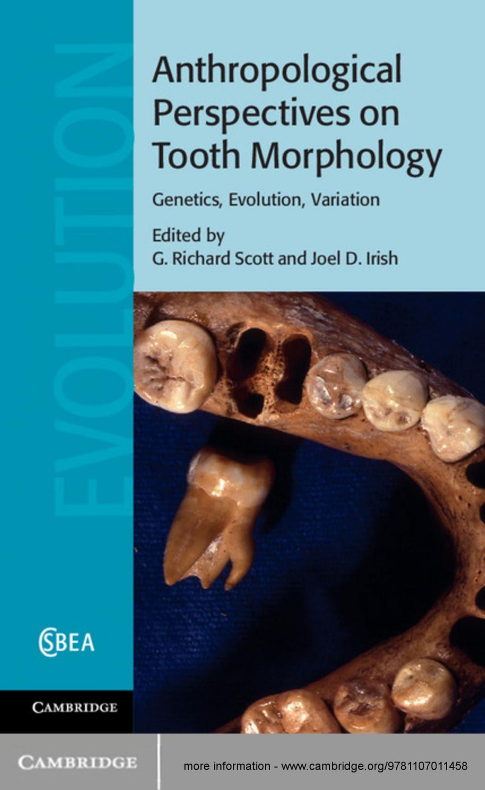 Big bigCover of Anthropological Perspectives on Tooth Morphology