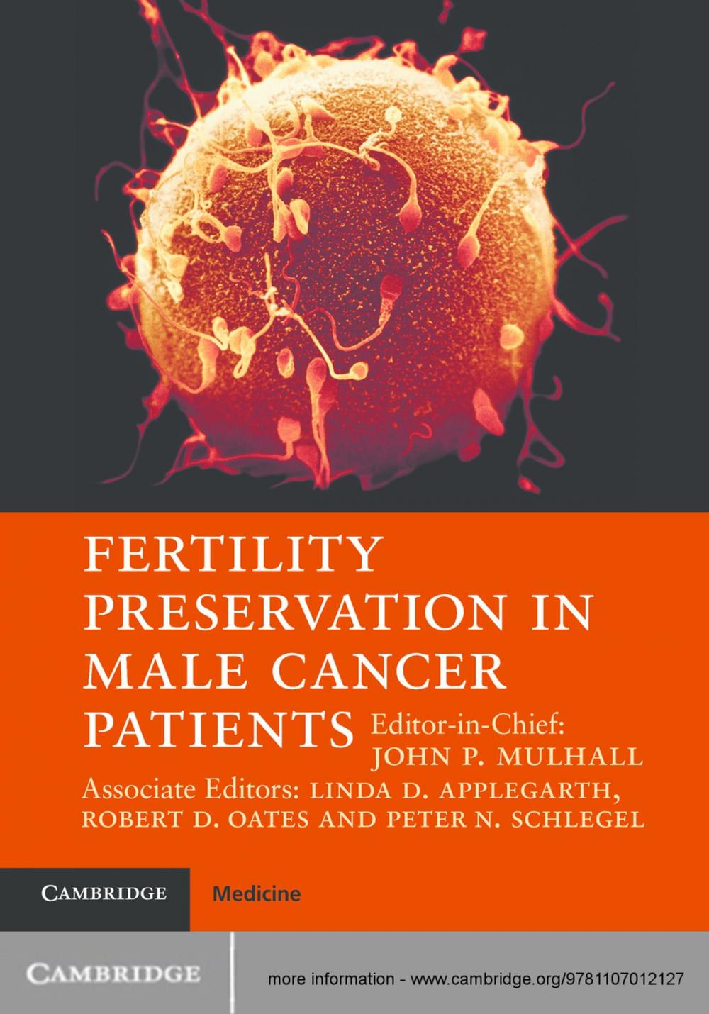 Big bigCover of Fertility Preservation in Male Cancer Patients