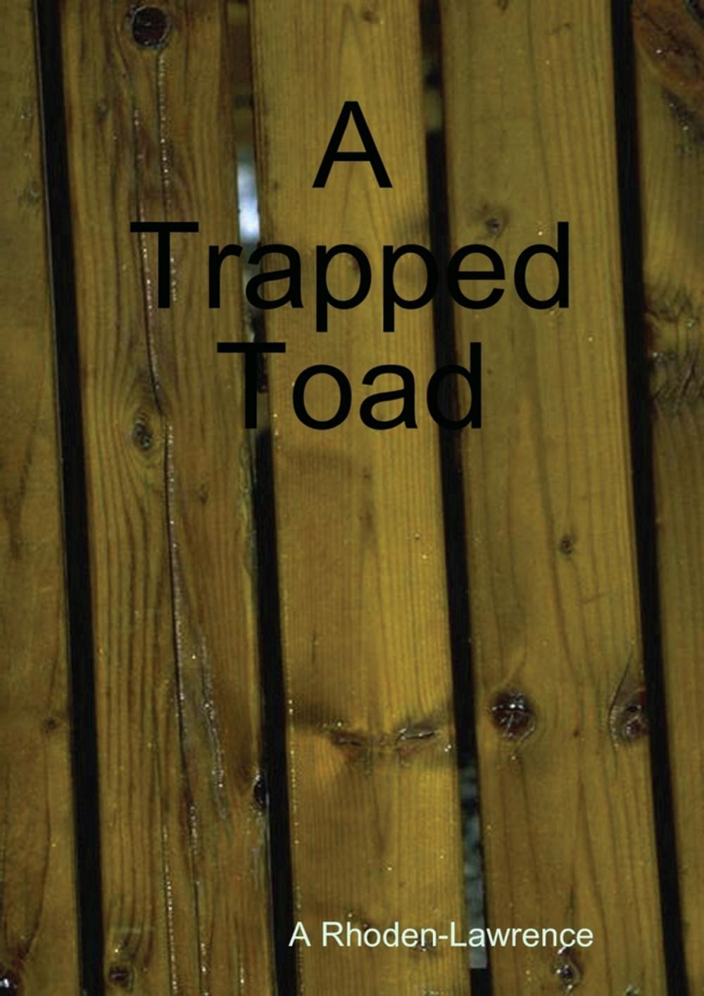 Big bigCover of A Trapped Toad