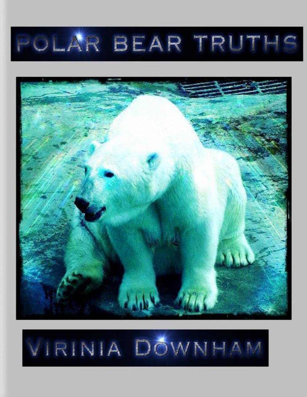 Big bigCover of Polar Bear Truths