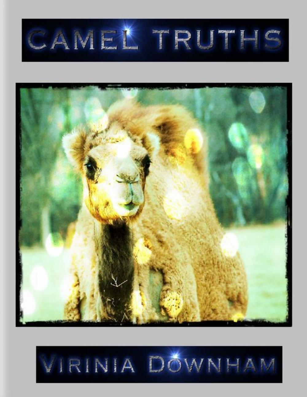 Big bigCover of Camel Truths