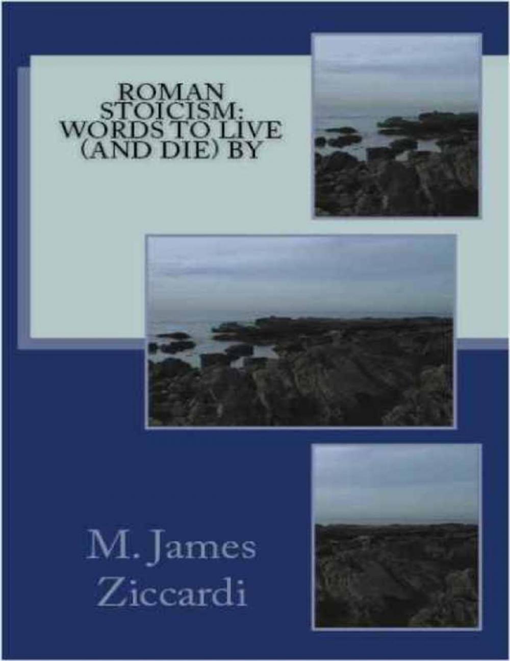 Big bigCover of Roman Stoicism: Words to Live (and Die) By